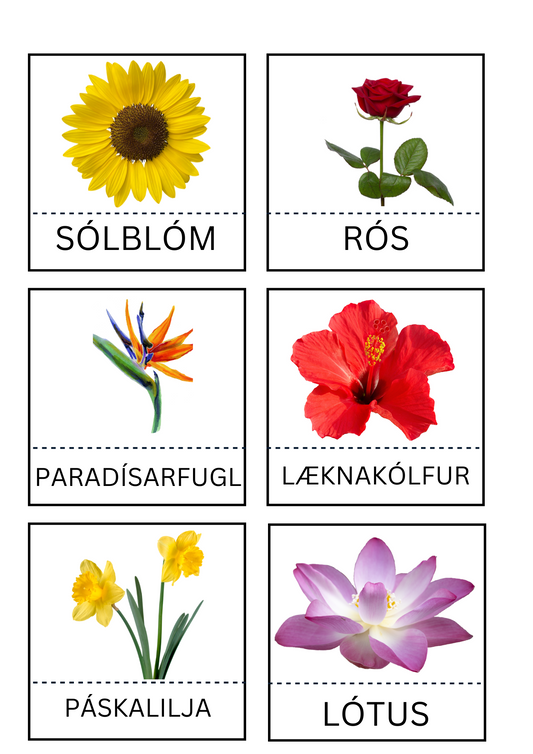 3 Parta Spil - Blóm - Pláneta - Skynjunarleikur -