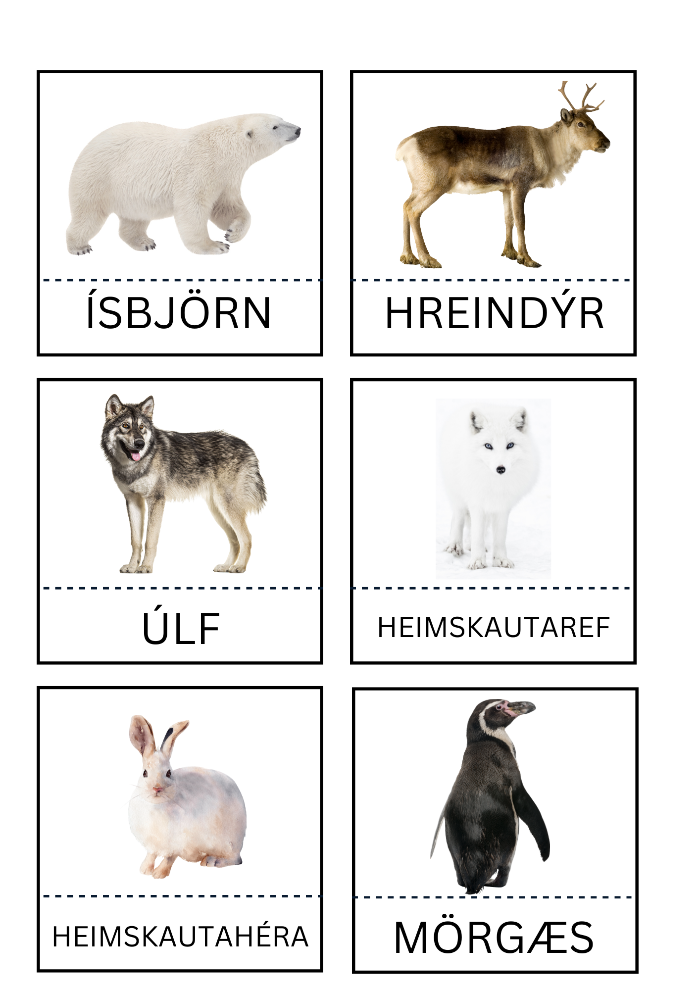 3 Parta Spil - Heimskauta Dýr - Pláneta - Skynjunarleikur -