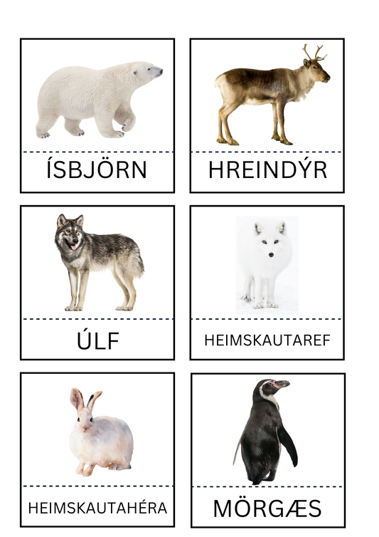 3 Parta Spil - Heimskauta Dýr - Pláneta - Skynjunarleikur -
