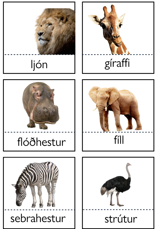 3 Parta Spil - Safari Dýr - Pláneta - Skynjunarleikur -