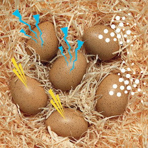 Skynjunar Hristuegg (6 í setti) - Pláneta - Skynjunarleikur -