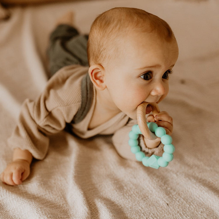 Tanntöku leikföng fyrir kríli