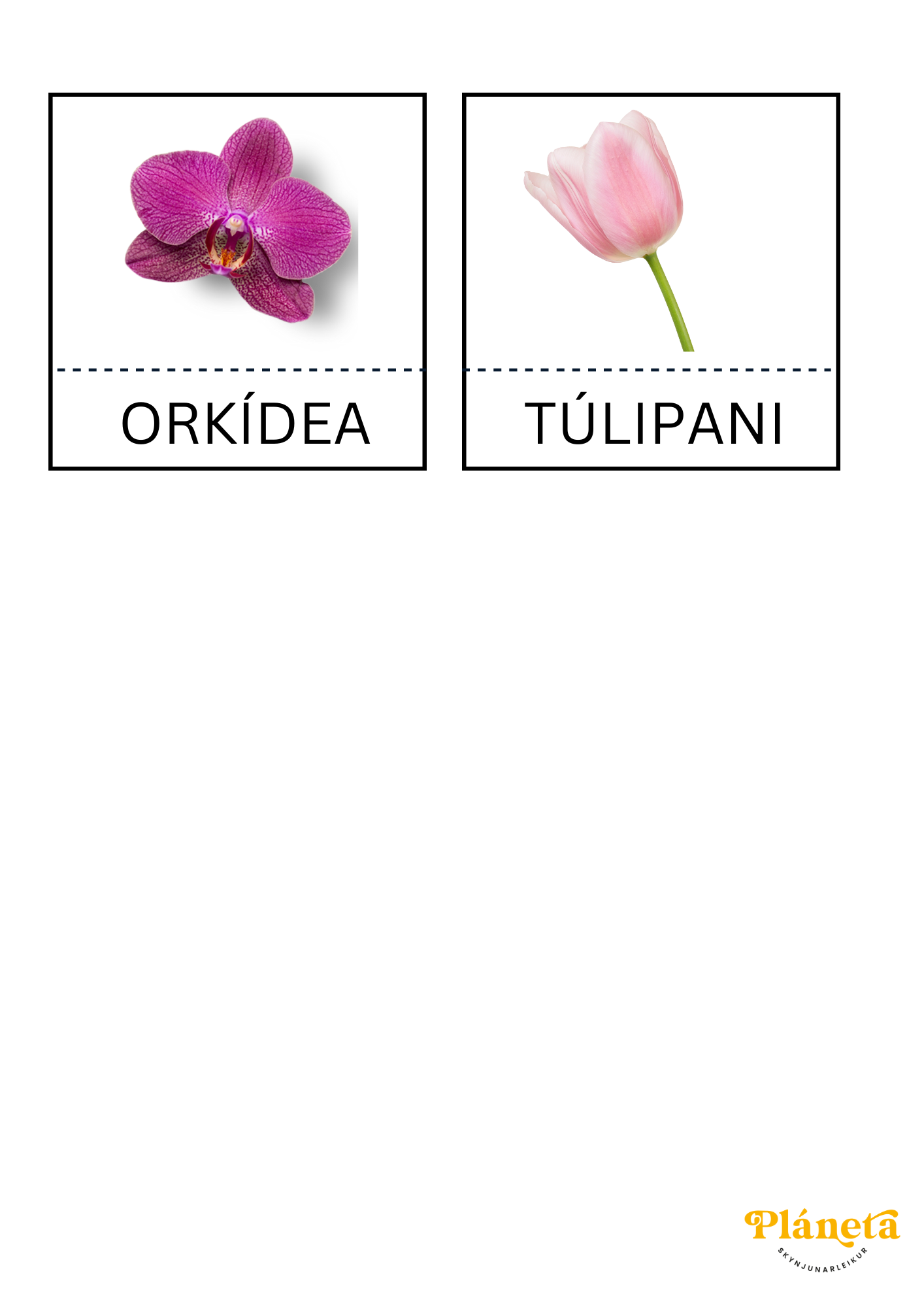 3 Parta Spil - Blóm - Pláneta - Skynjunarleikur - 