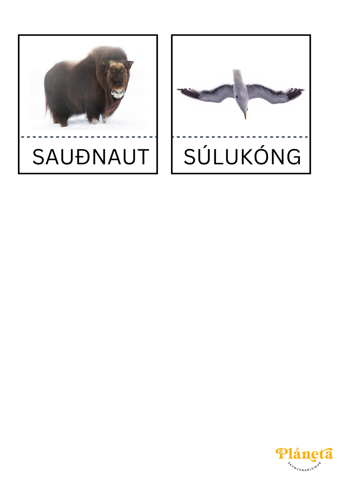 3 Parta Spil - Heimskauta Dýr - Pláneta - Skynjunarleikur - 