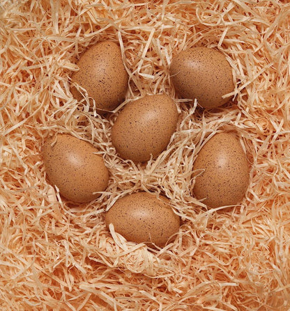 Skynjunar Hristuegg (6 í setti) - Pláneta - Skynjunarleikur - 