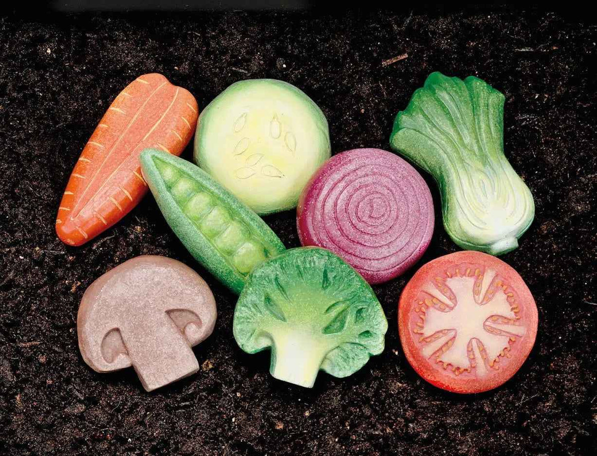 Skynjunar Steinar - Grænmeti